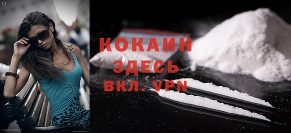 прущий лед Алзамай