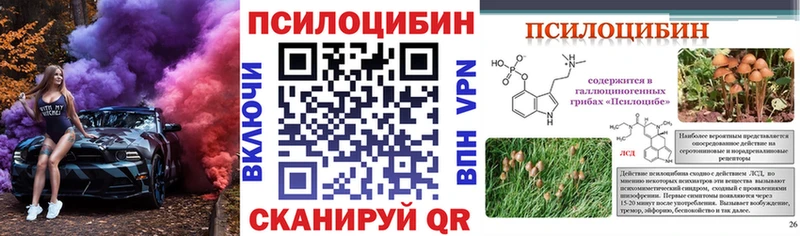 площадка телеграм  ссылка на мегу tor  Менделеевск  Псилоцибиновые грибы прущие грибы 