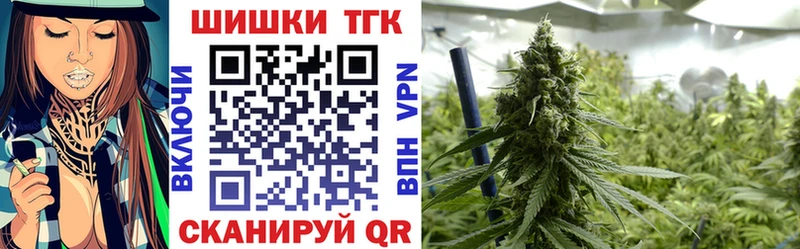 Бошки марихуана план  Менделеевск 